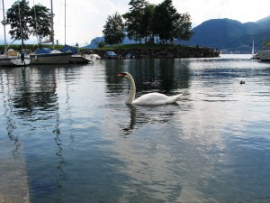 Dervio_Lungolago sud - Molo 2d 